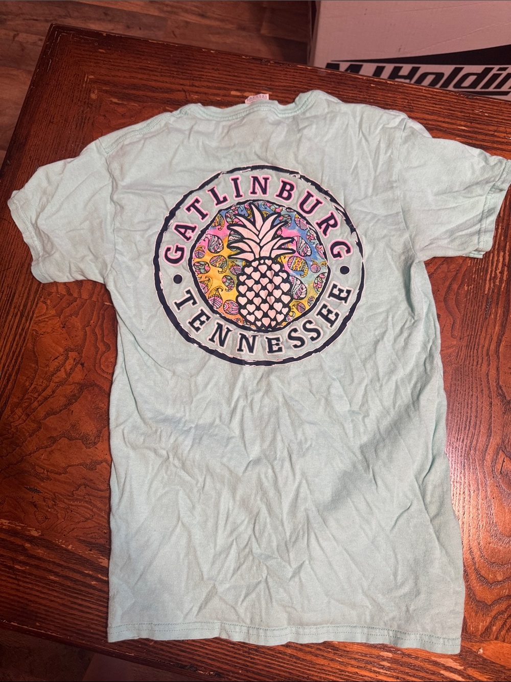 Gatlinburg Tennessee Pineapple Graphic T-Shirt - Light Aqua